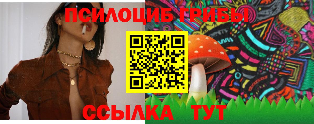 Майкоп  Галлюциногенные грибы прущие грибы  Псилоцибиновые грибы ЛСД  Вход с VPN 